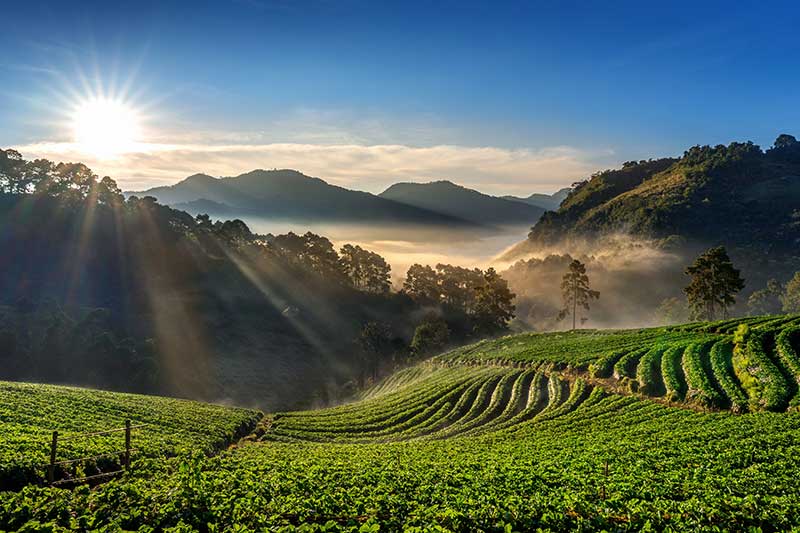 Darjeeling