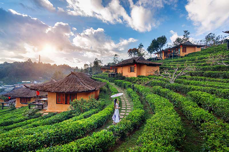 munnar